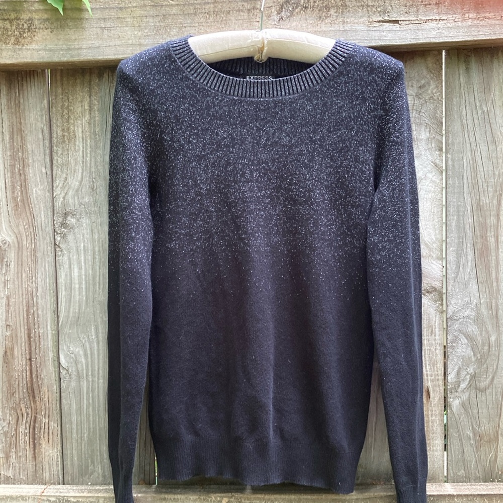 Express black silver sparkle sweater
